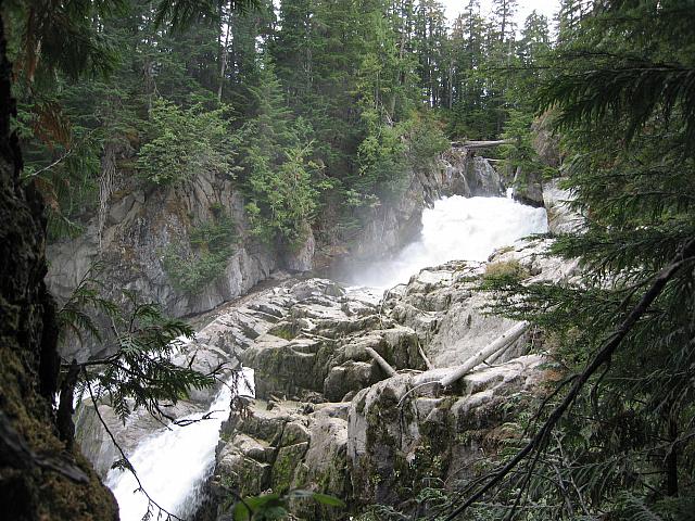 IMG 1247
