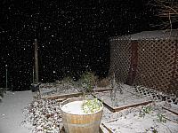 IMG 1951