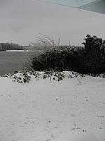 IMG 0610