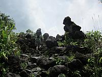 IMG 7441