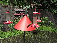 IMG 7746