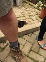 IMG 7785