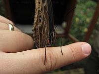 IMG 7801