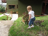 IMG 7895