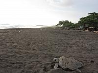 IMG 8265