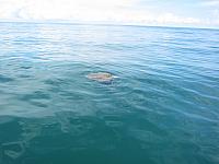 IMG 8489