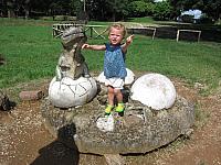 IMG 8578