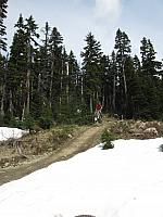 IMG 4606