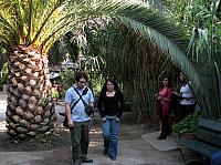 Picture 061