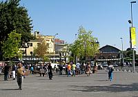 Picture 203