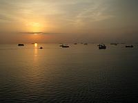 IMG 1908