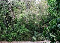 IMG 2077