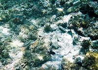 405718-R1-038-17A 019