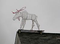 201107 095