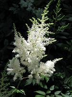 201107 1132