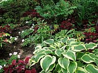 201107 1220