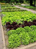 201107 1261