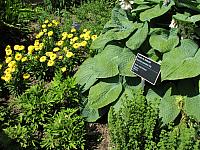 201107 1266