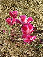 201108 322