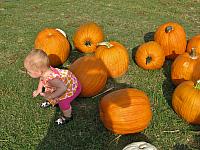 At the pumpkin patch