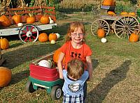 Parker's trying to get Logan to stay for a photo with their pumpkins (in the wagon).