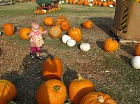 Some of these are bigger than she is.