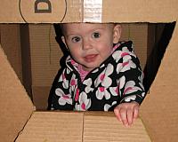 Portland December 2011