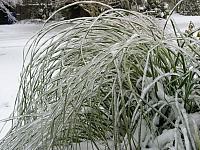 Snow