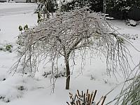 201202 009