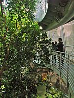 201205A2 1297