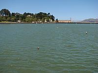 201205A2 1383