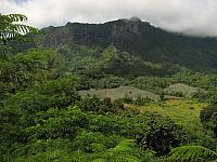 Moorea