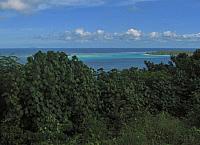 View of the reef