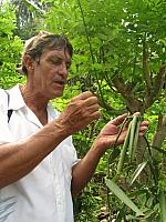 Bruno explains about raising vanilla