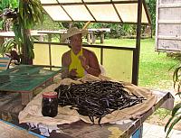 Lady from the vanilla farm explains more about the process