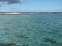 Bruno took us close to the coral reef