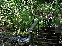 Bridge on trail to Fautaua Waterfall