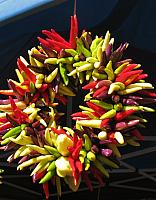 201209 - September, 2012