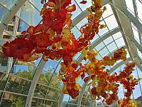 201209Seattle 119