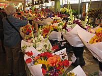 IMG 7074