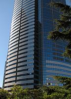 IMG 7092