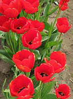 201304 049