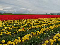 201304 053