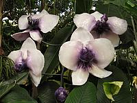 20130601 011