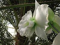 20130601 029