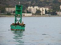 201308SAN 090