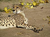 201310SW 922