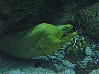 201310SW 948