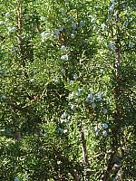 201310SW 171