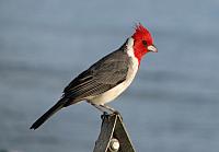 20131205 - Honolulu - Pearl Harbor & Bishop Museum